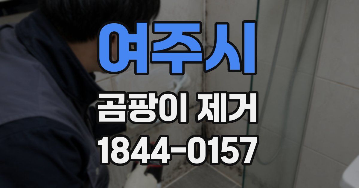 여주시 곰팡이 제거
