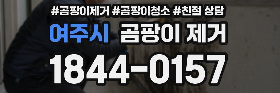 여주시 곰팡이 제거