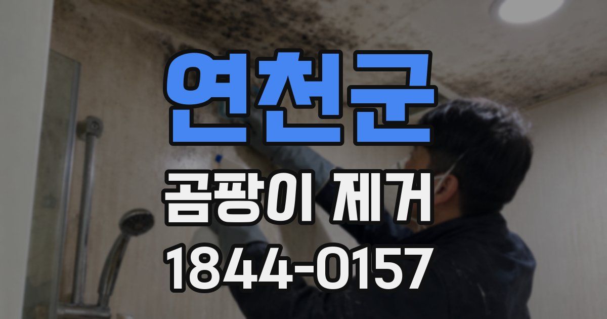 연천군 곰팡이 제거
