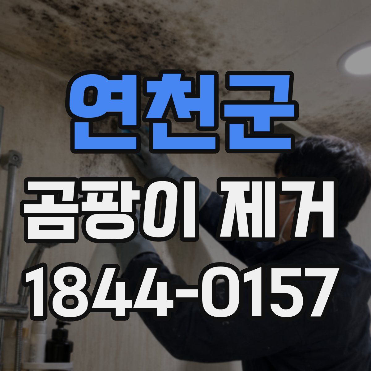 연천군 곰팡이 제거
