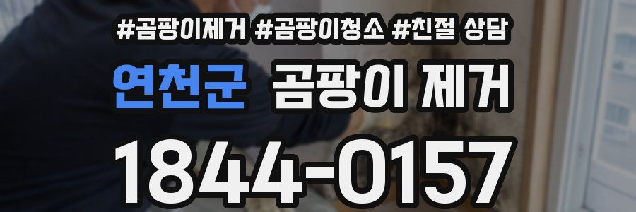 연천군 곰팡이 제거