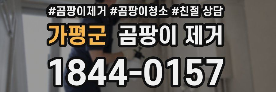 가평군 곰팡이 제거