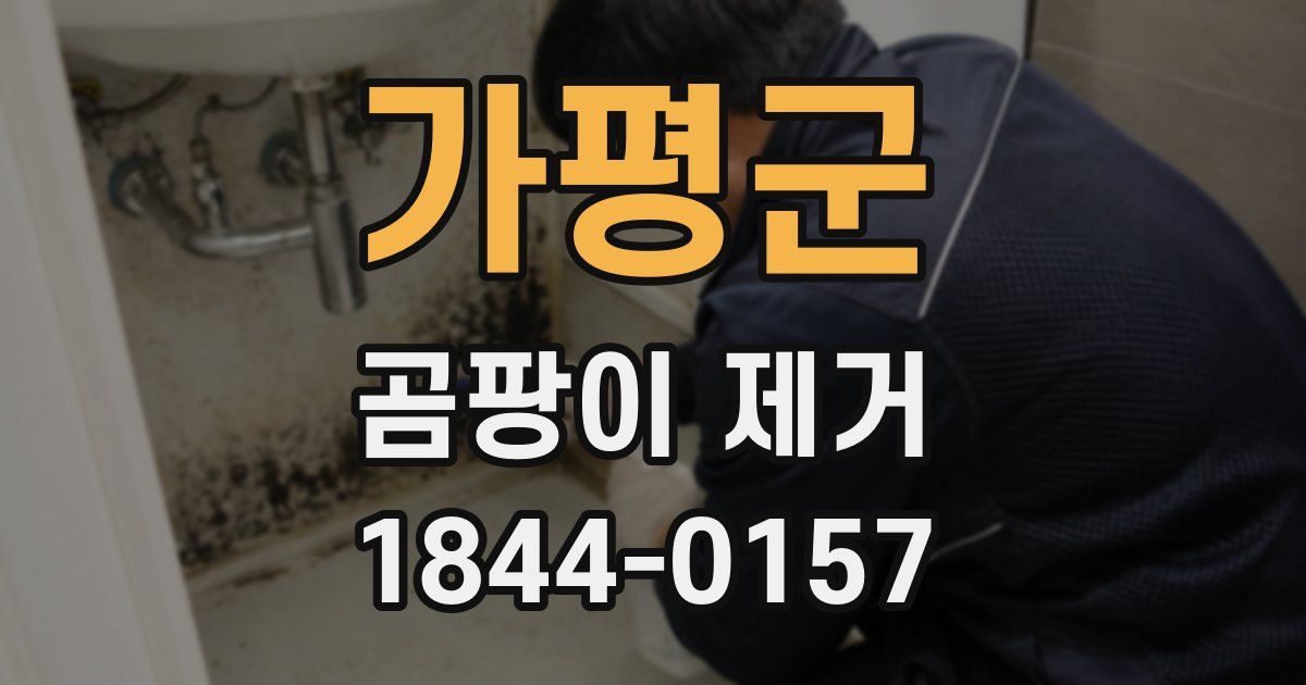 가평군 곰팡이 제거