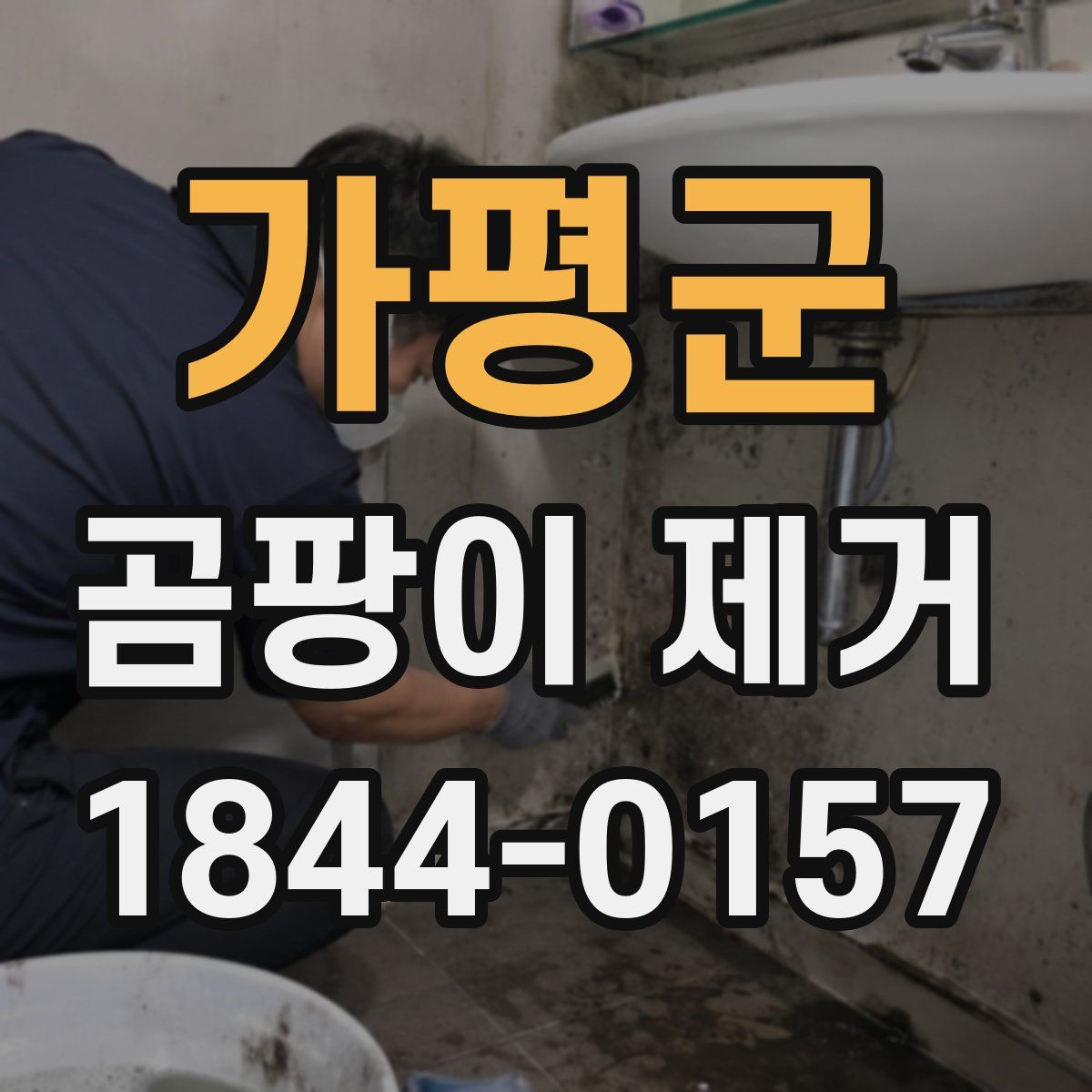 가평군 곰팡이 제거