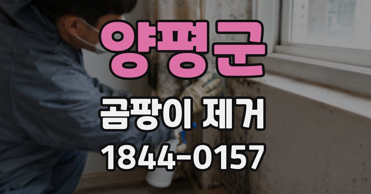 양평군 곰팡이 제거