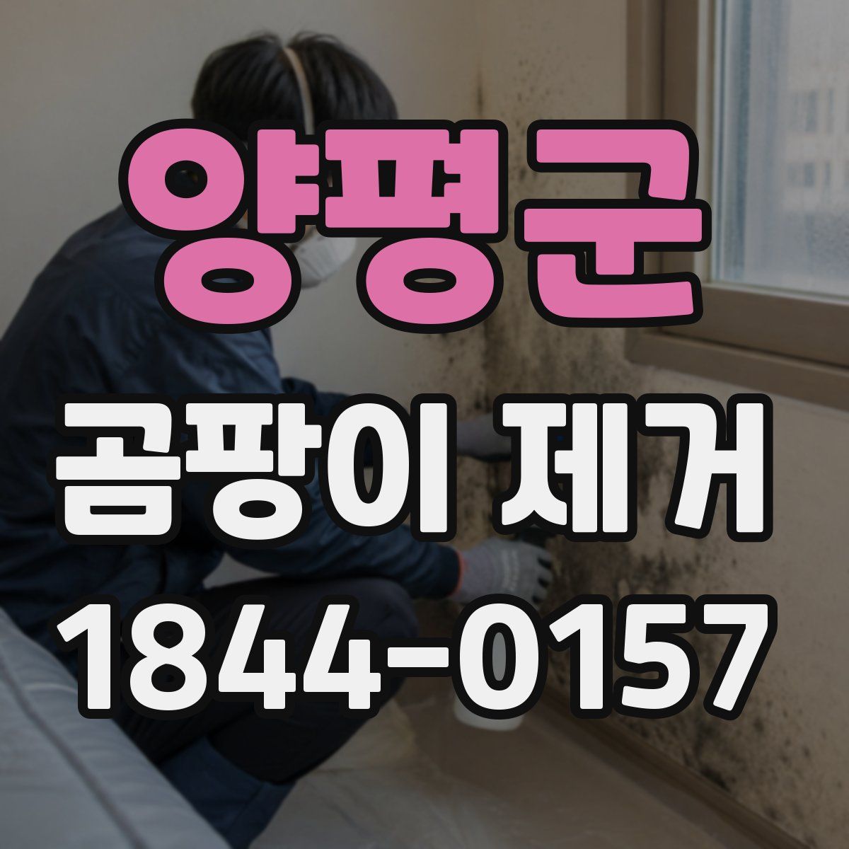 양평군 곰팡이 제거