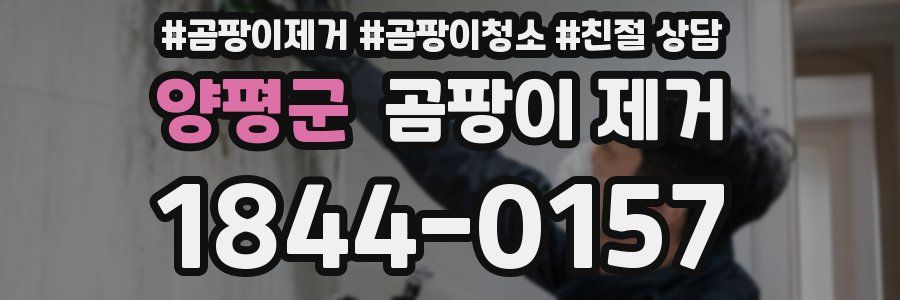 양평군 곰팡이 제거