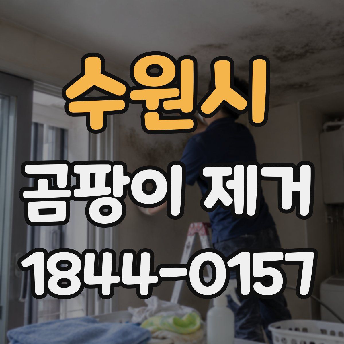 수원시 곰팡이 제거