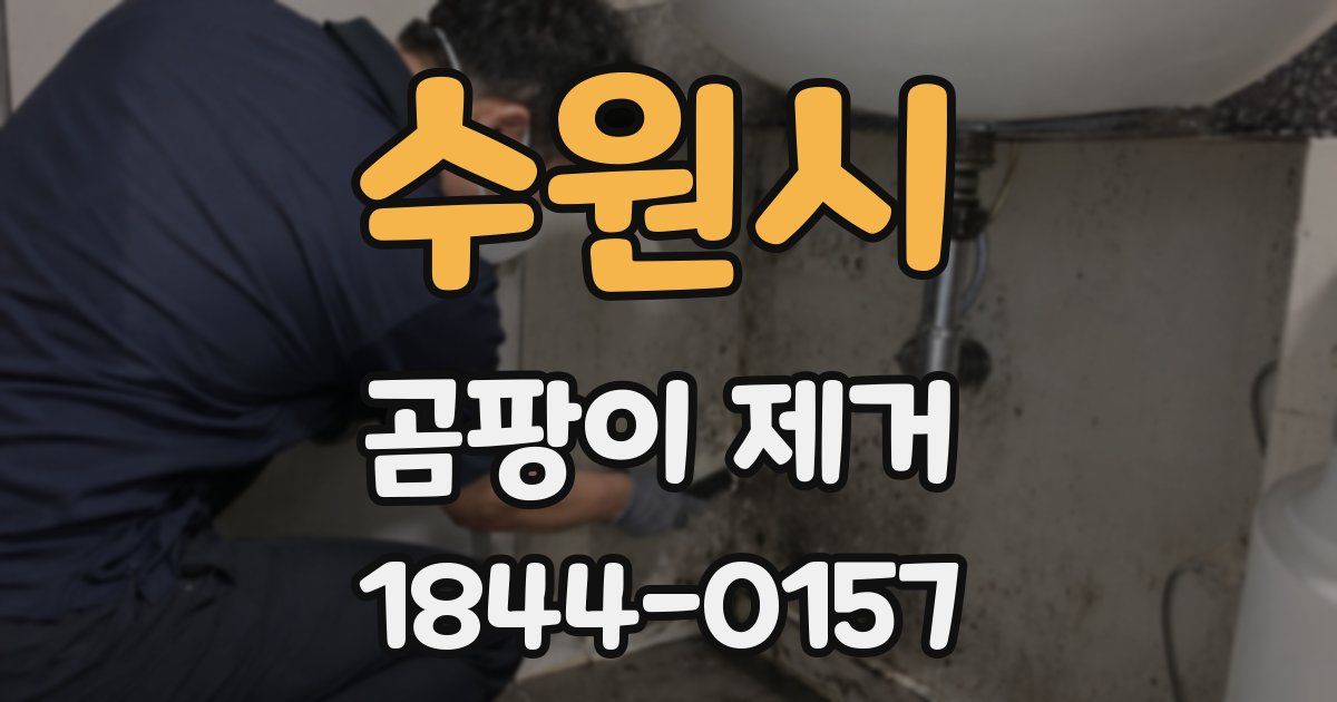 수원시 곰팡이 제거