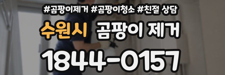 수원시 곰팡이 제거