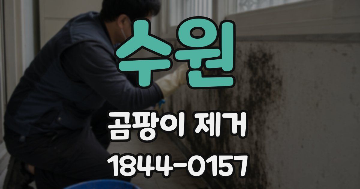 수원 곰팡이 제거