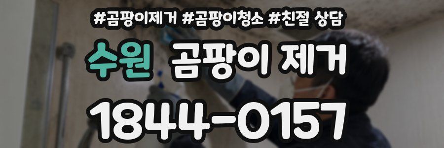 수원 곰팡이 제거