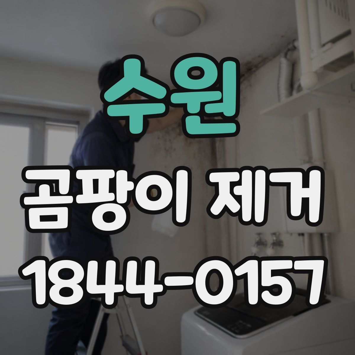 수원 곰팡이 제거