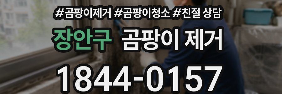 장안구 곰팡이 제거