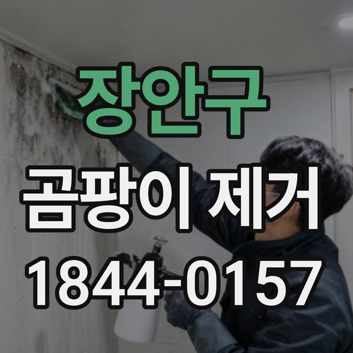 장안구 곰팡이 제거