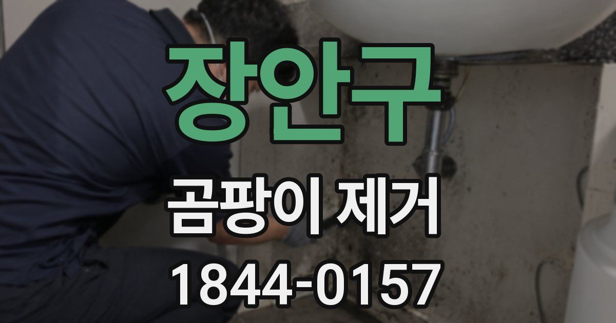장안구 곰팡이 제거