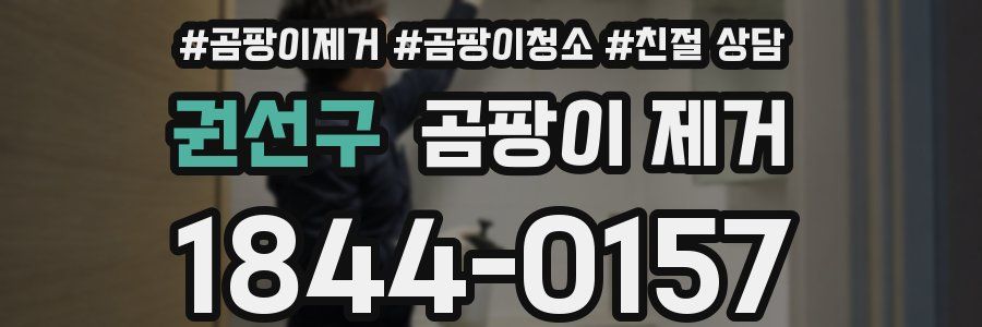 권선구 곰팡이 제거