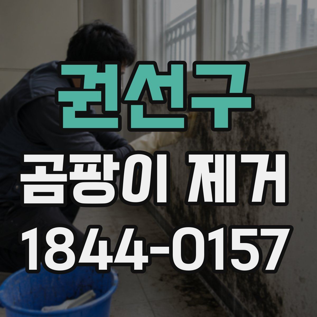 권선구 곰팡이 제거