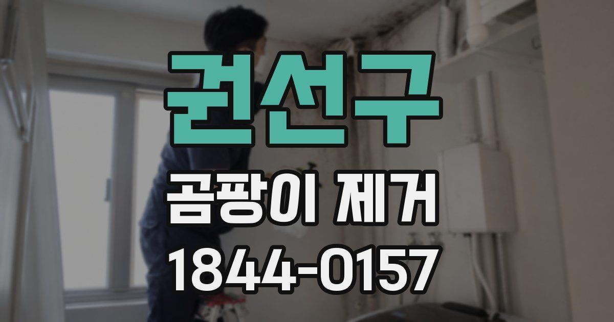 권선구 곰팡이 제거