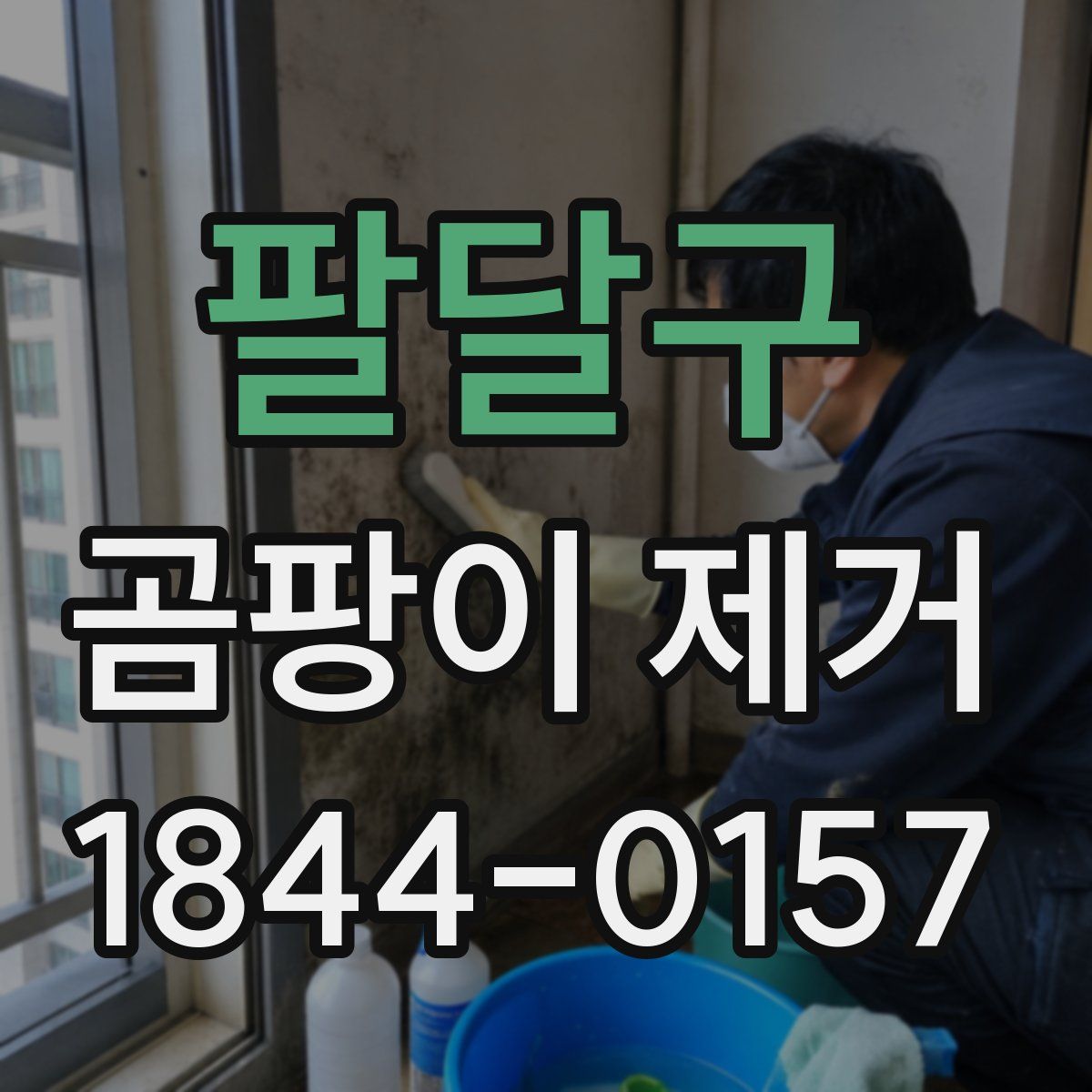 팔달구 곰팡이 제거
