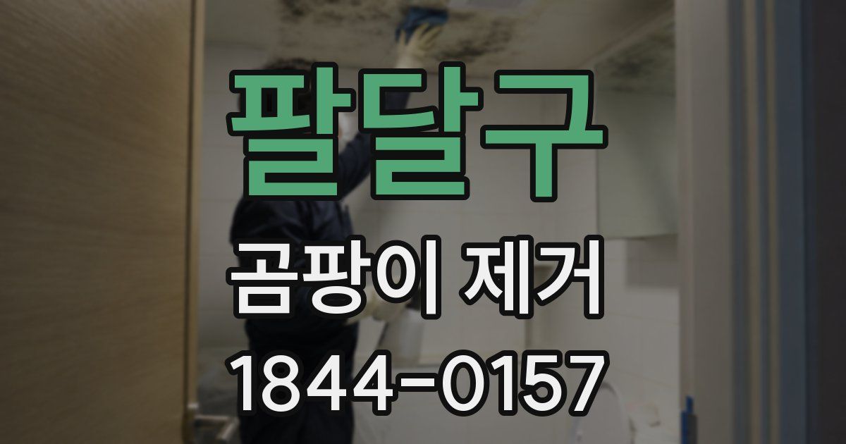 팔달구 곰팡이 제거