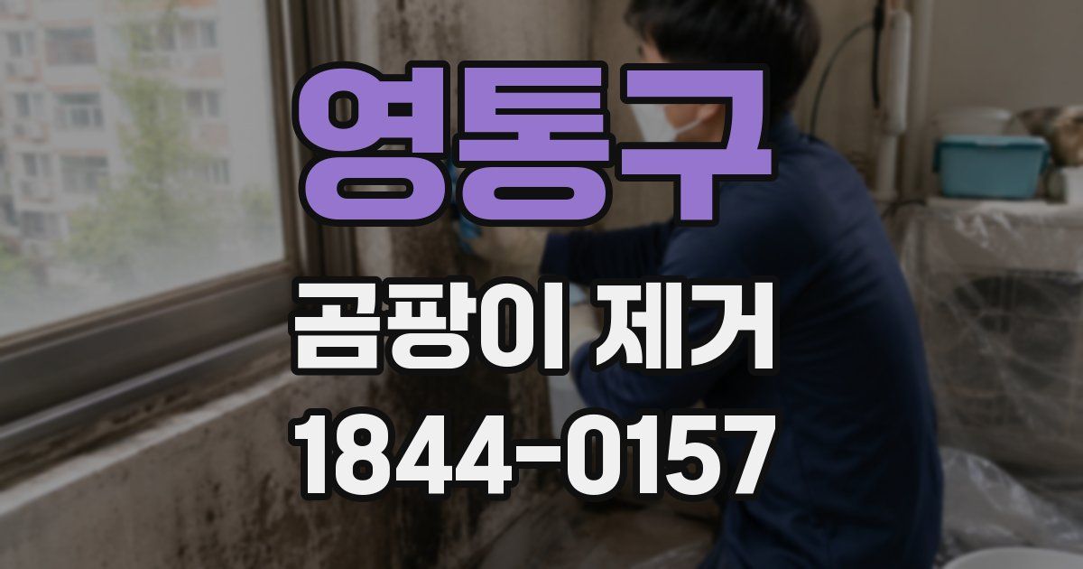 영통구 곰팡이 제거