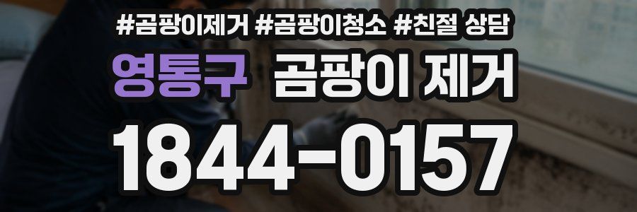 영통구 곰팡이 제거