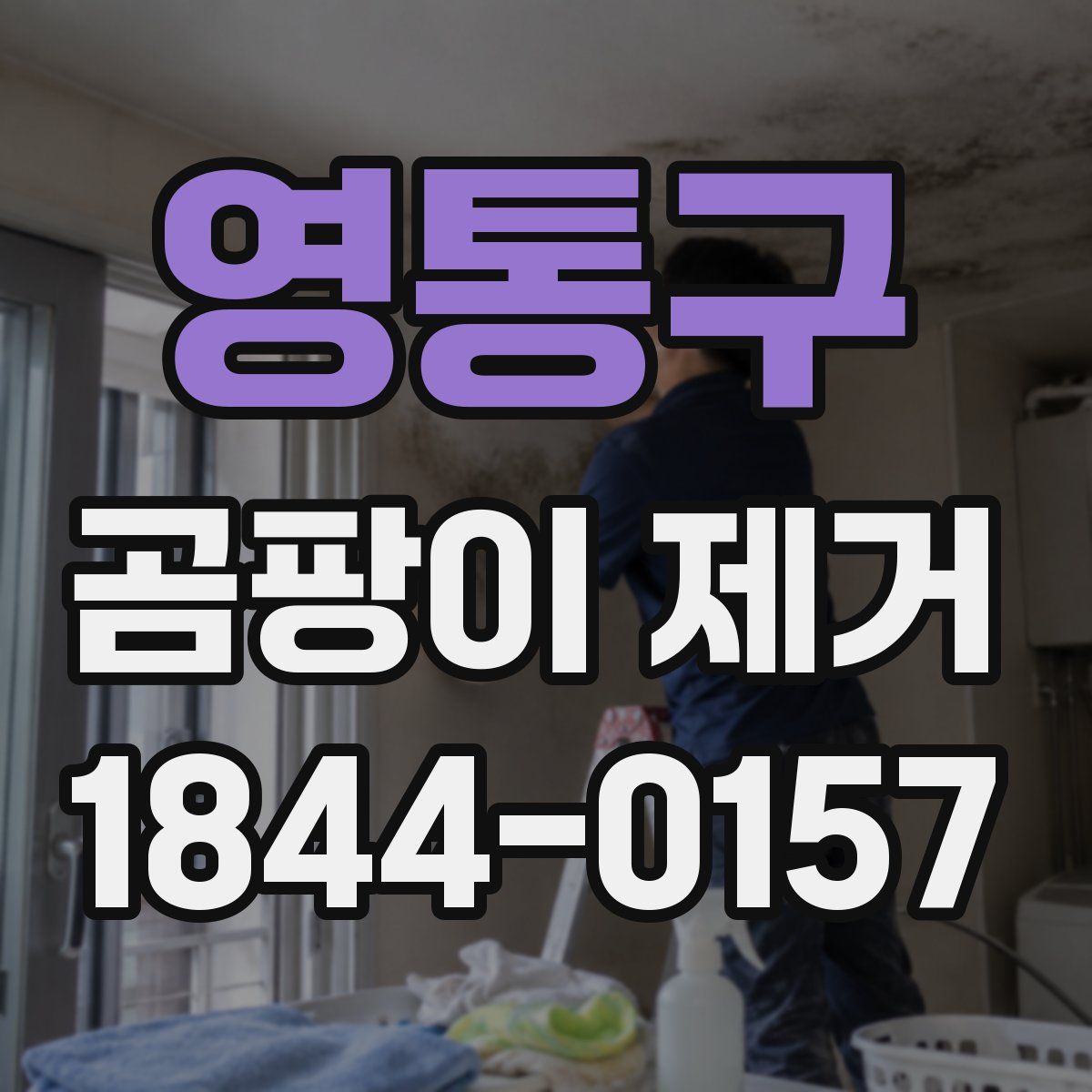 영통구 곰팡이 제거