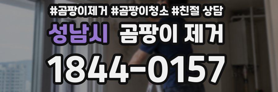 성남시 곰팡이 제거