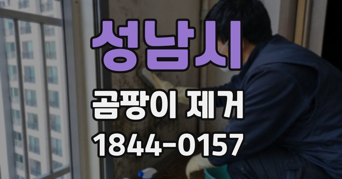 성남시 곰팡이 제거