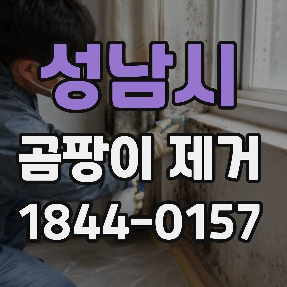 성남시 곰팡이 제거