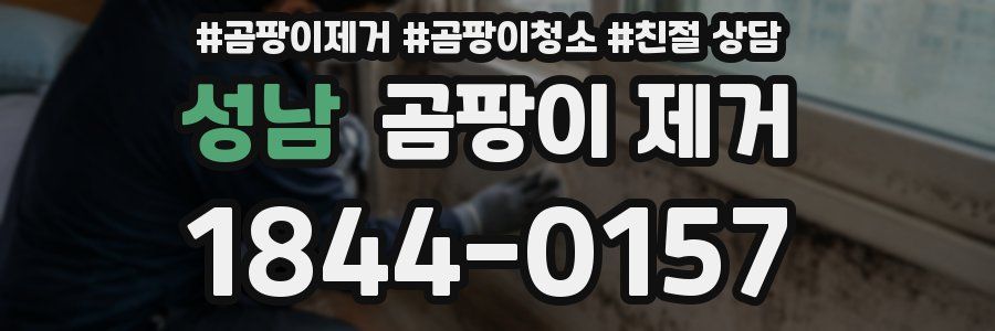 성남 곰팡이 제거