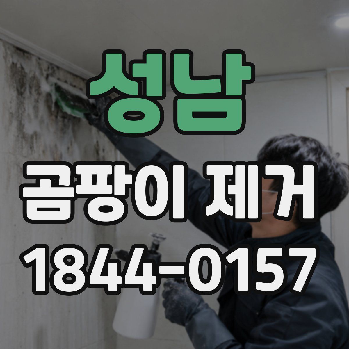성남 곰팡이 제거