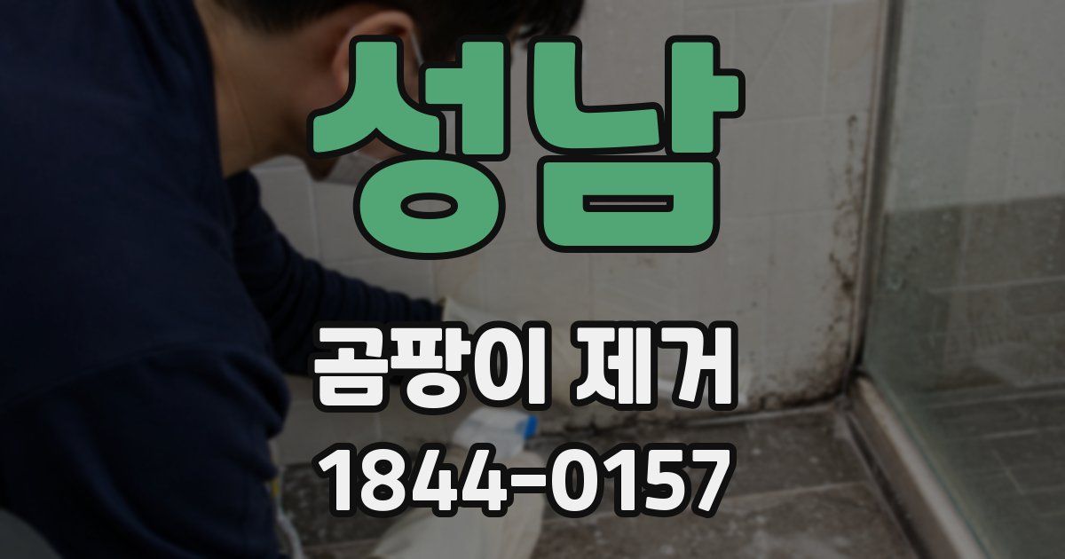 성남 곰팡이 제거