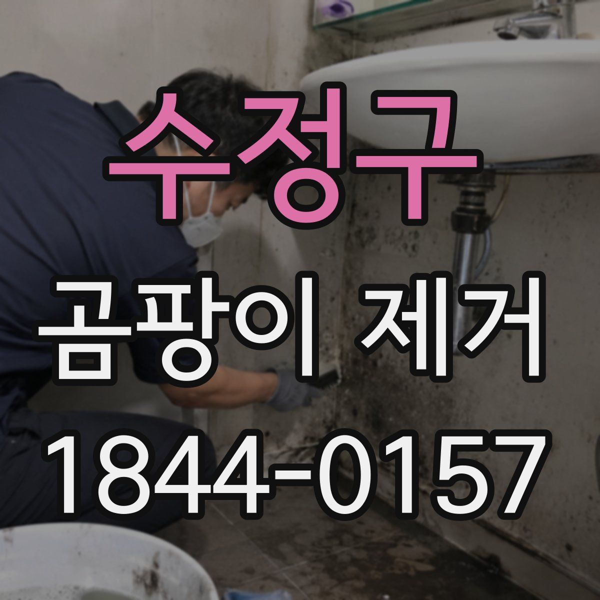 수정구 곰팡이 제거