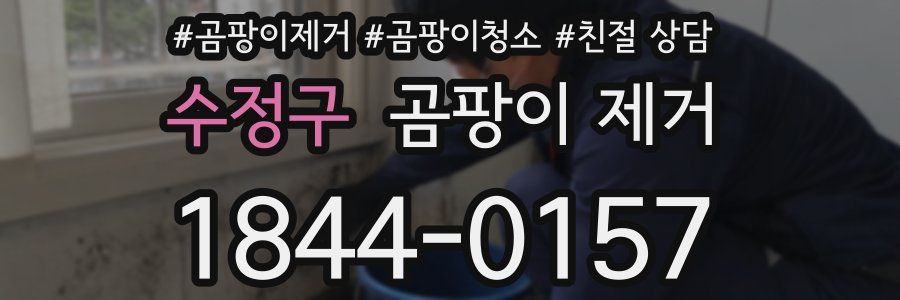 수정구 곰팡이 제거