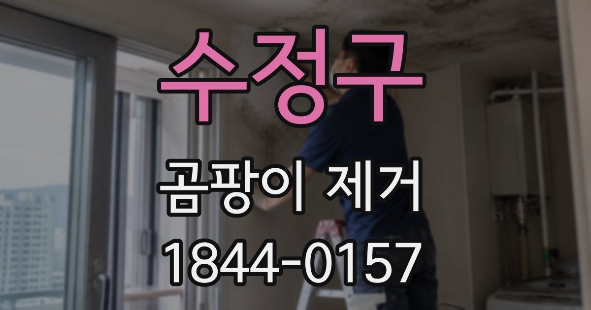 수정구 곰팡이 제거