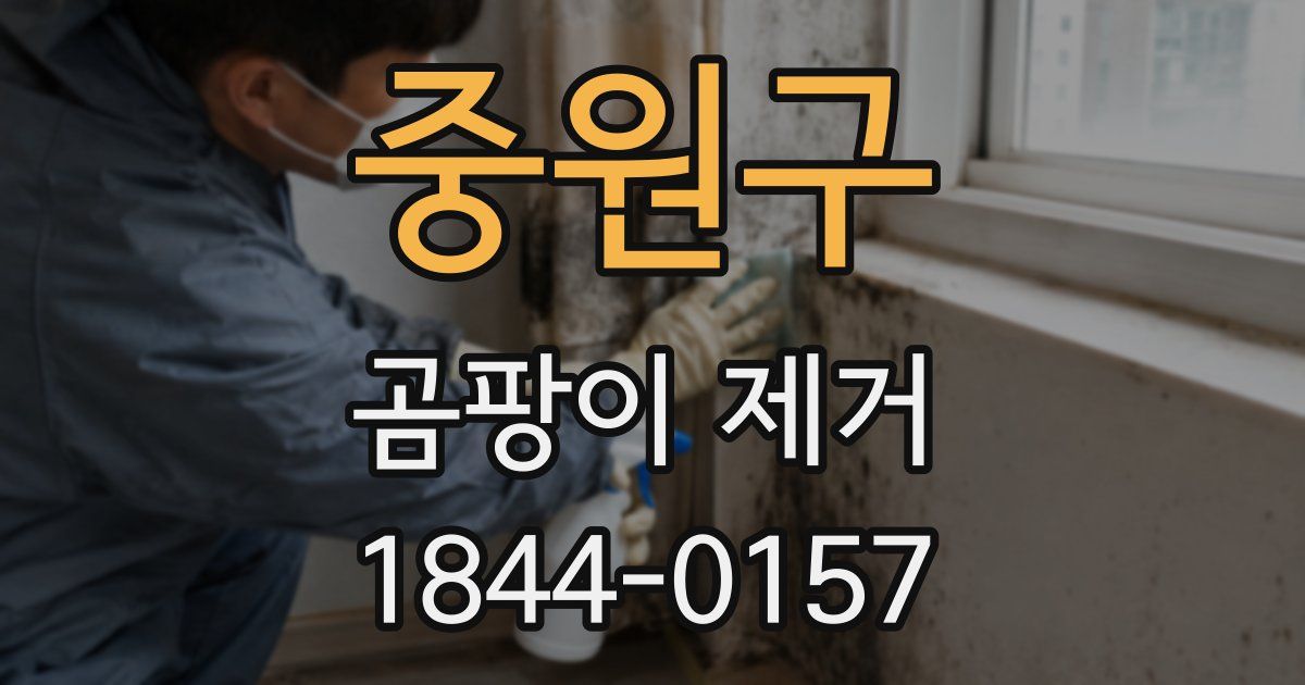 중원구 곰팡이 제거