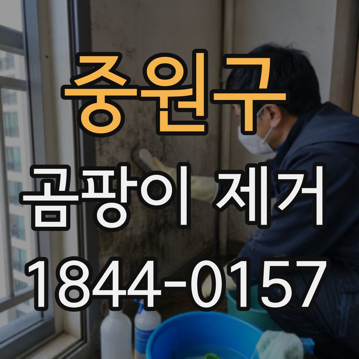 중원구 곰팡이 제거
