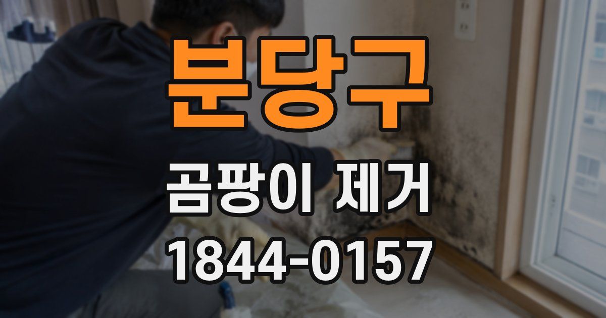 분당구 곰팡이 제거