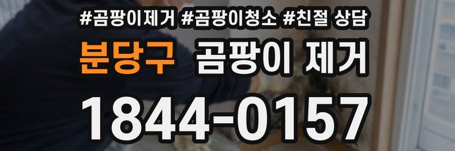 분당구 곰팡이 제거