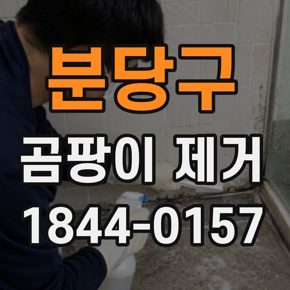 분당구 곰팡이 제거