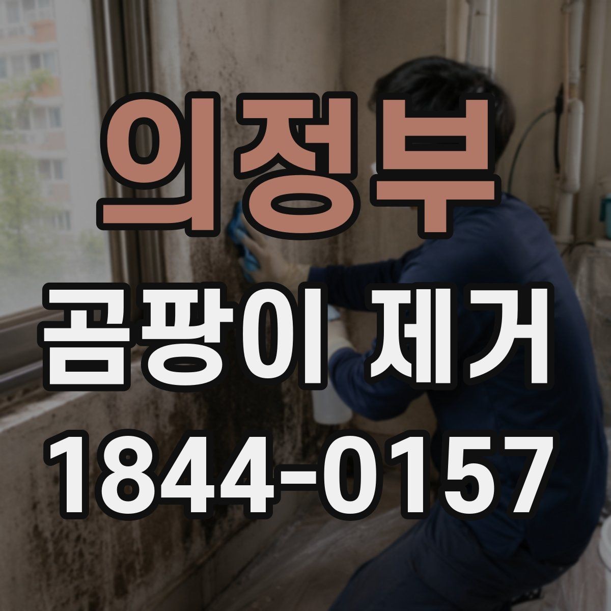 의정부 곰팡이 제거 시 하자 보수와 구분해야 할 점