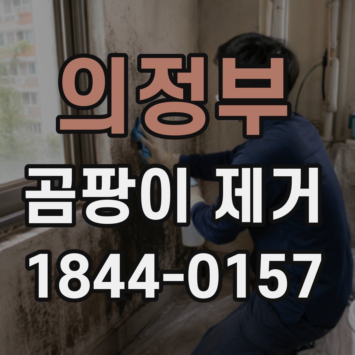 의정부 곰팡이 제거
