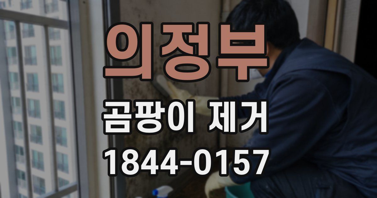 의정부 곰팡이 제거