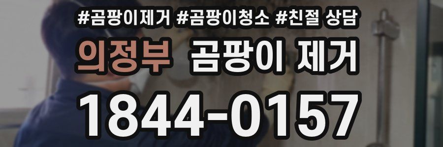 의정부 곰팡이 제거