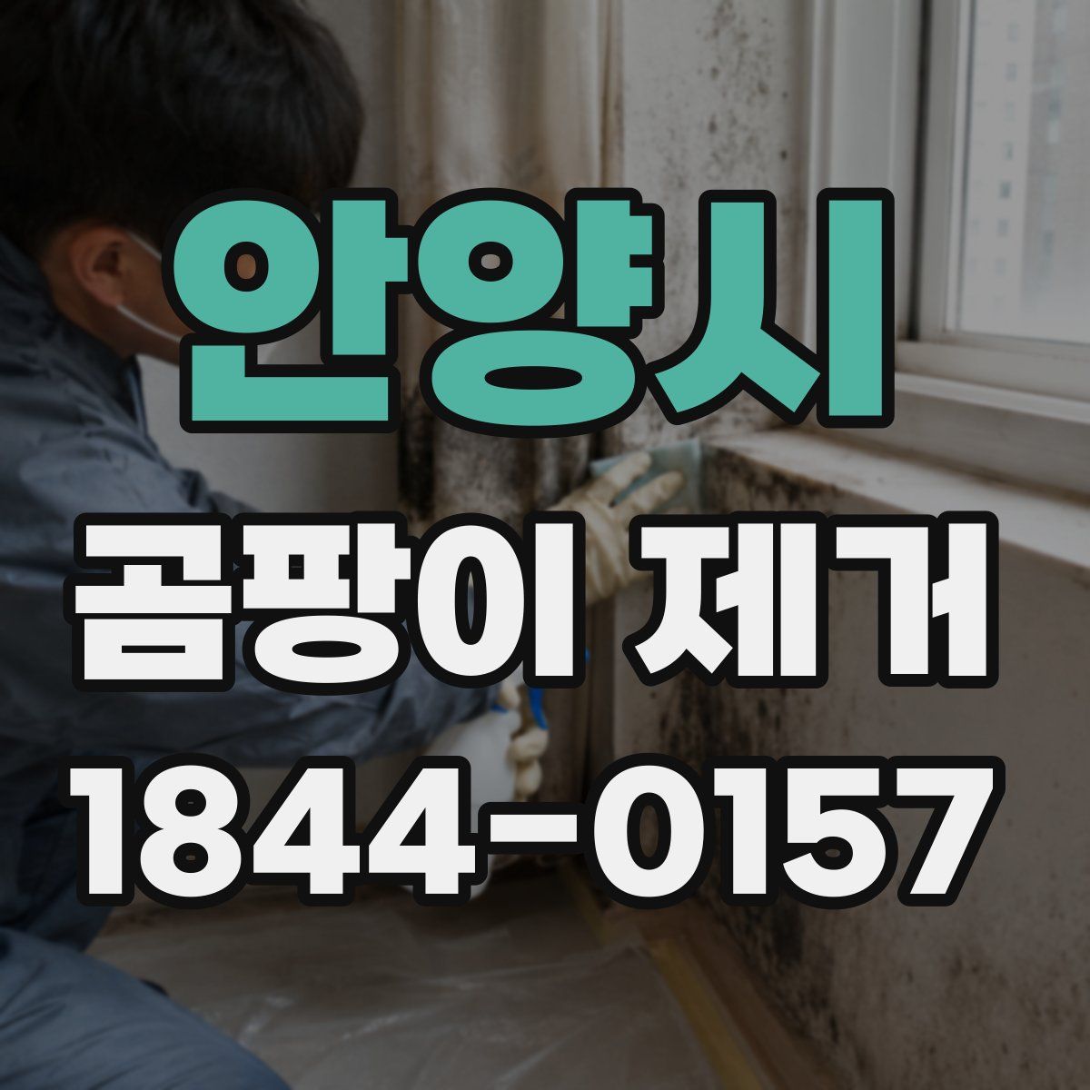 안양시 곰팡이 제거
