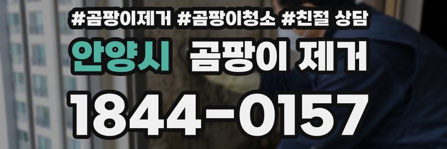 안양시 곰팡이 제거