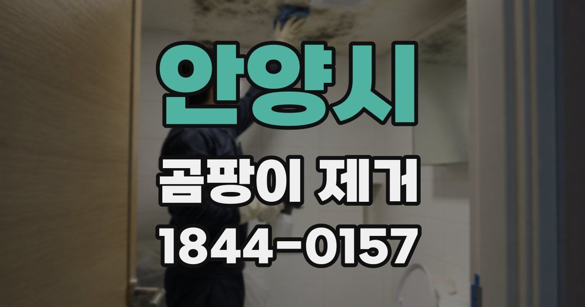 안양시 곰팡이 제거