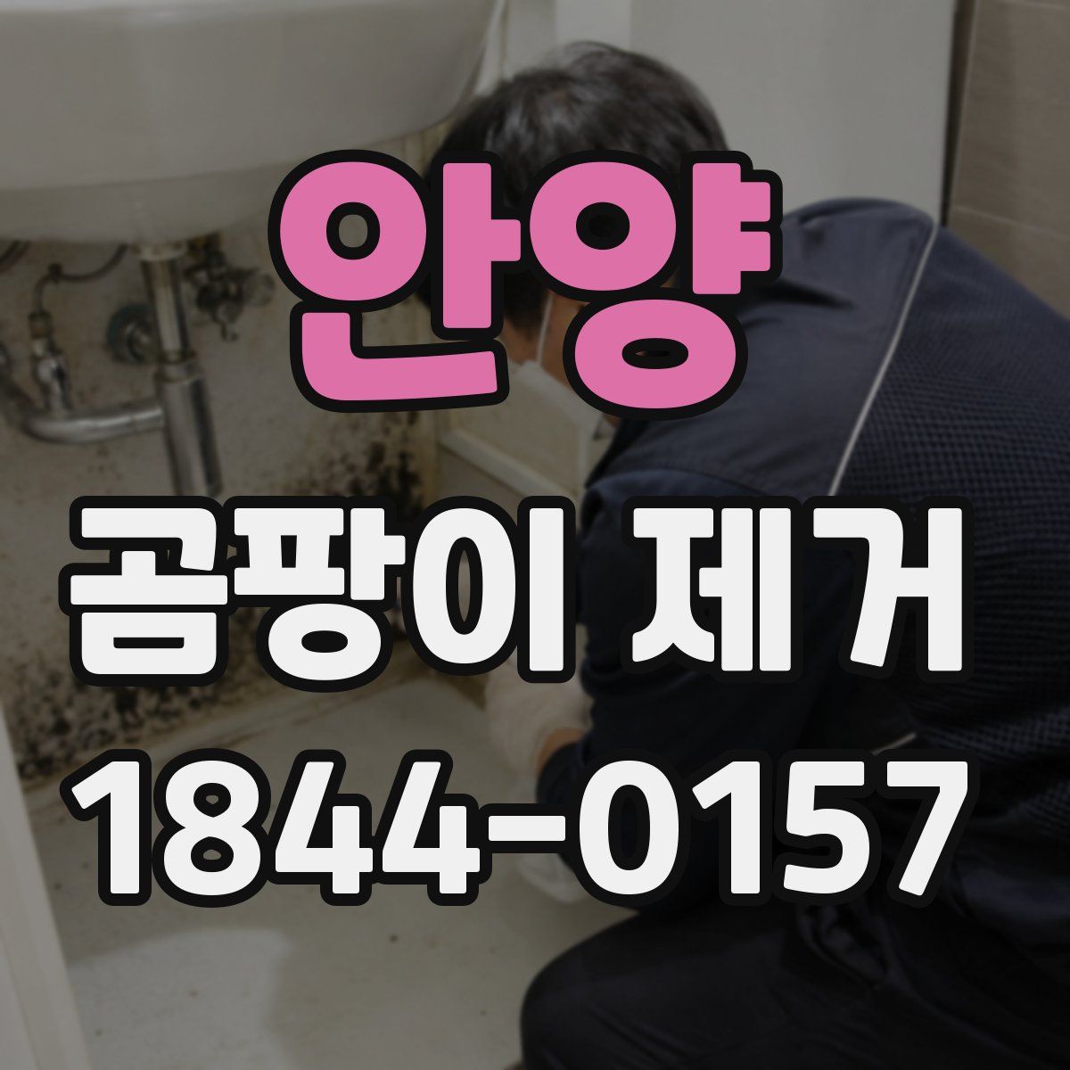 안양 곰팡이 제거